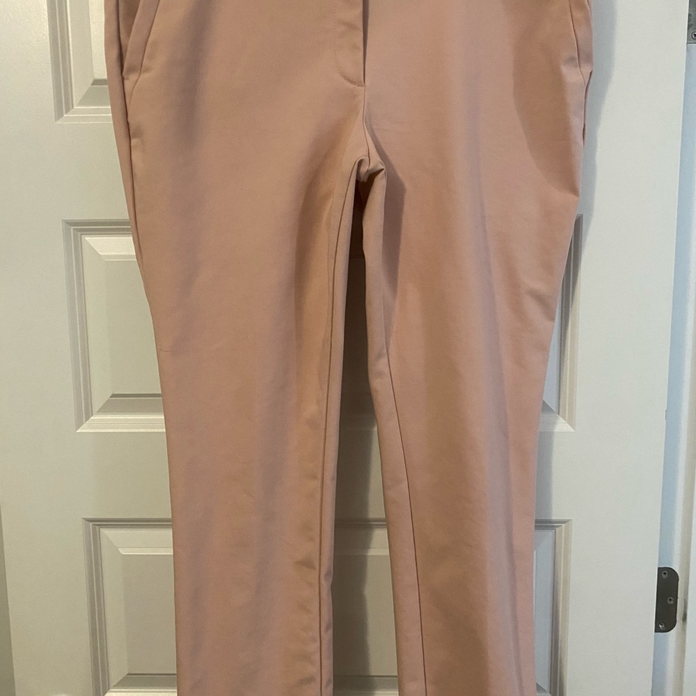 Loft Modern Skinny Ankle Sz 16 Stylish Pink Trousers Dusty Rose